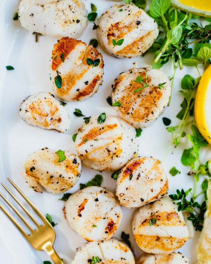 Grilled scallops