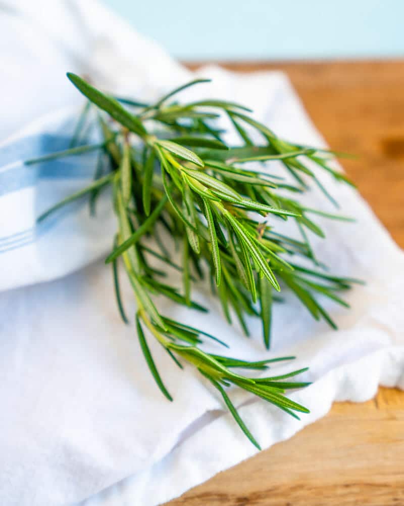Rosemary